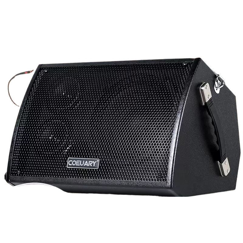 60W Folkgitarren-Lautsprecher  – Musical Instrument Long Bewertung und Preis