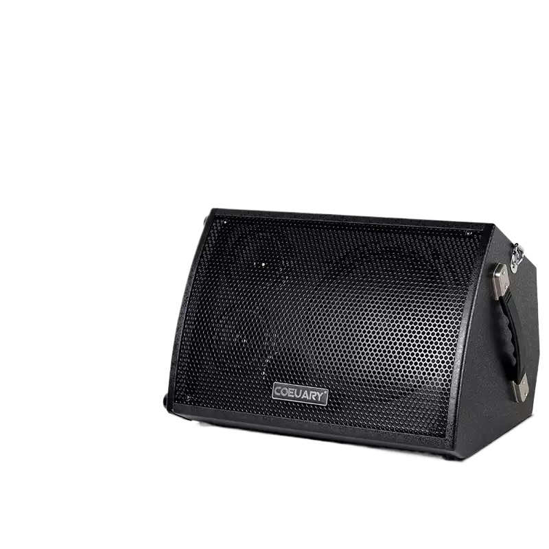60W Folkgitarren-Lautsprecher  – Musical Instrument Long Bewertung und Preis
