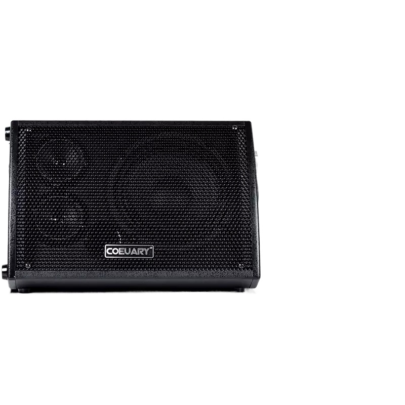 60W Folkgitarren-Lautsprecher  – Musical Instrument Long Bewertung und Preis