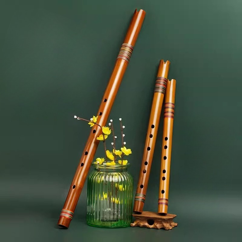 Professionelle Quena-Flöte, G/ – Shakuhachi Bamboo Flute Bewertung und Preis